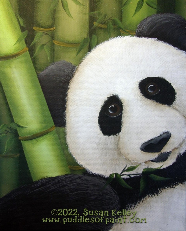 Bamboo Panda Video Class