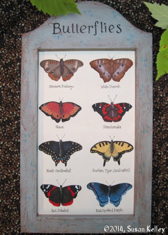 Butterflies ePacket